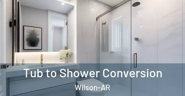 inner Bathroom imggen Tub to Shower Conversion Wilson-AR