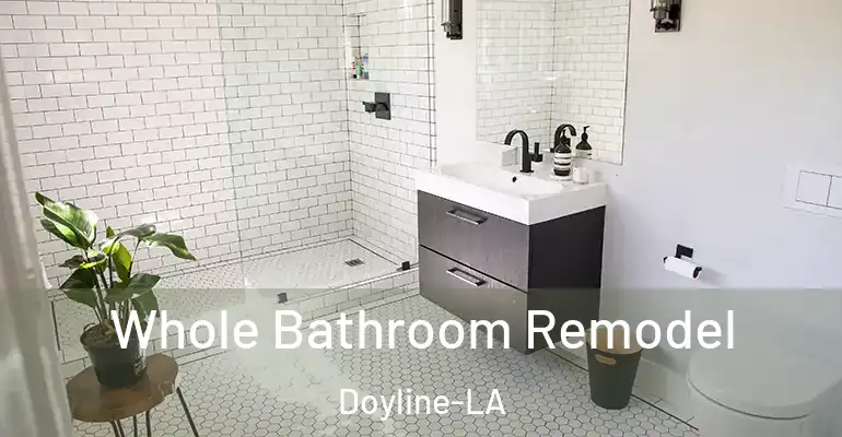inner Bathroom imggen Whole Bathroom Remodel Doyline-LA