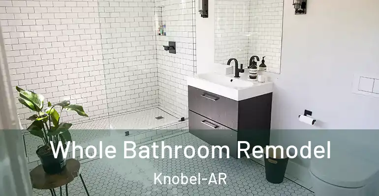 inner Bathroom imggen Whole Bathroom Remodel Knobel-AR