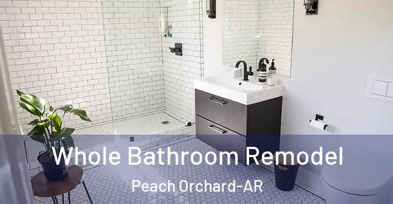 inner Bathroom imggen Whole Bathroom Remodel Peach Orchard-AR